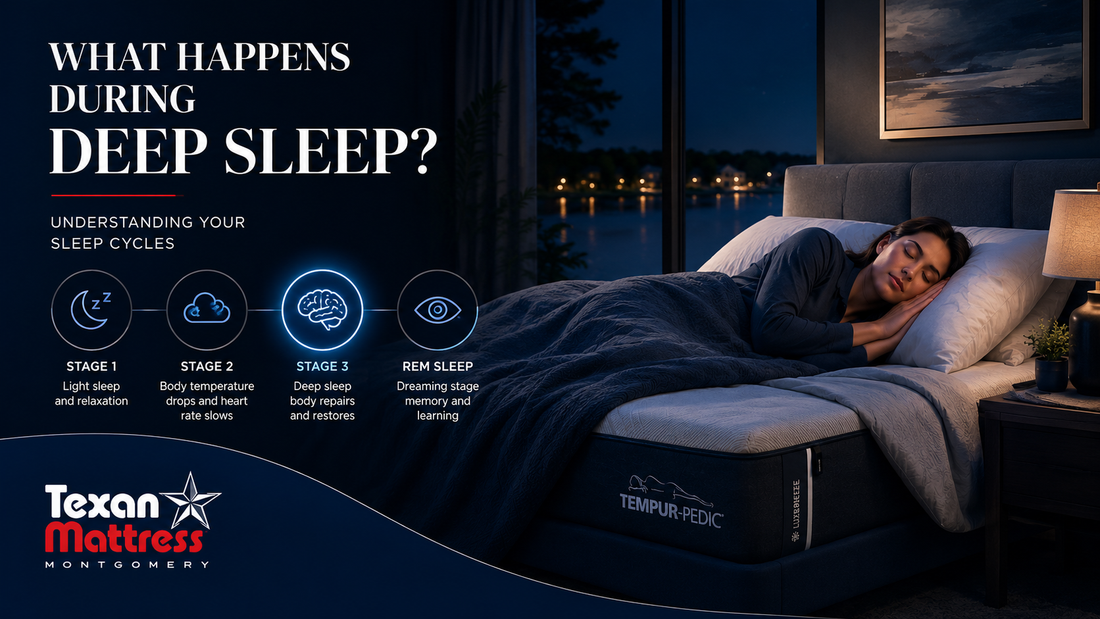What happens during deep sleep - understanding your sleep cycles - Texan Mattress Montgomery, TX