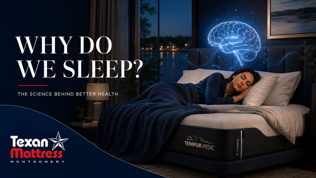 Why do we sleep - the science behind a good night's rest - Texan Mattress Montgomery, TX