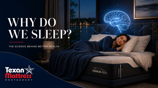 Why do we sleep - the science behind a good night's rest - Texan Mattress Montgomery, TX