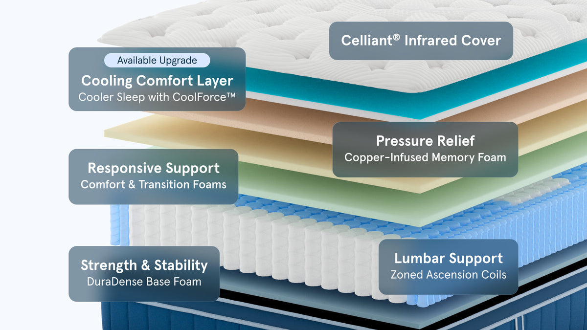 Bear Elite Hybrid Mattress | Recovery Hybrid for Active Sleepers - layer construction
