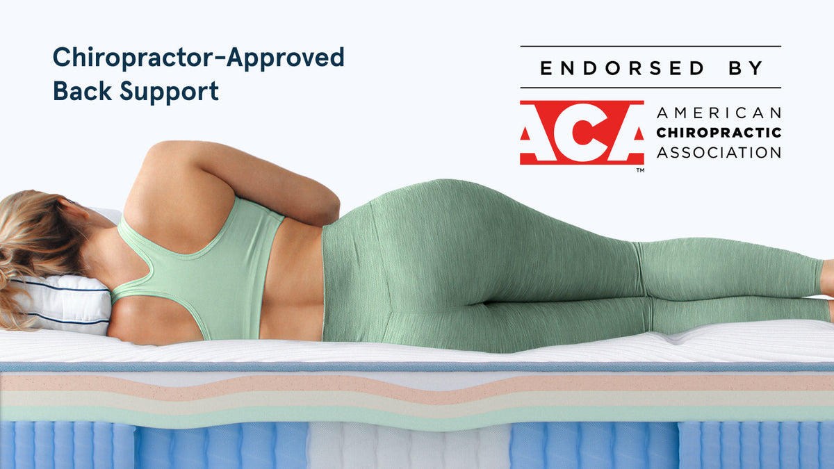 Bear Elite Hybrid Mattress | Recovery Hybrid for Active Sleepers - ACA endorsement