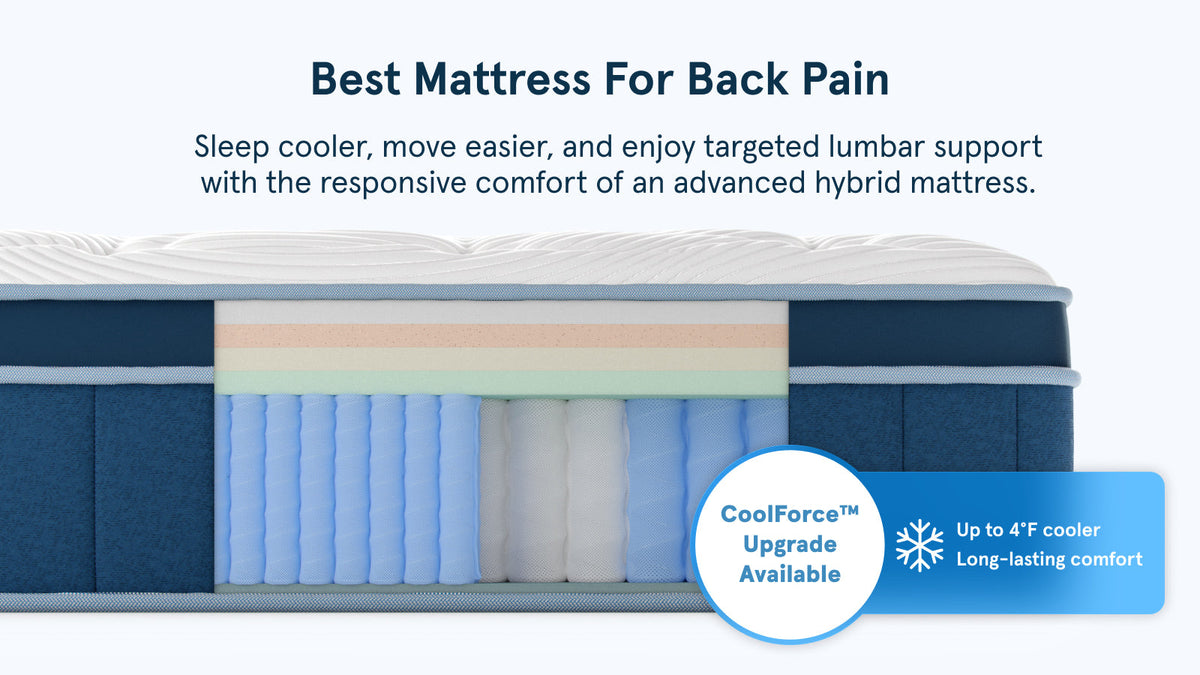 Bear Elite Hybrid Mattress | Recovery Hybrid for Active Sleepers - value highlights
