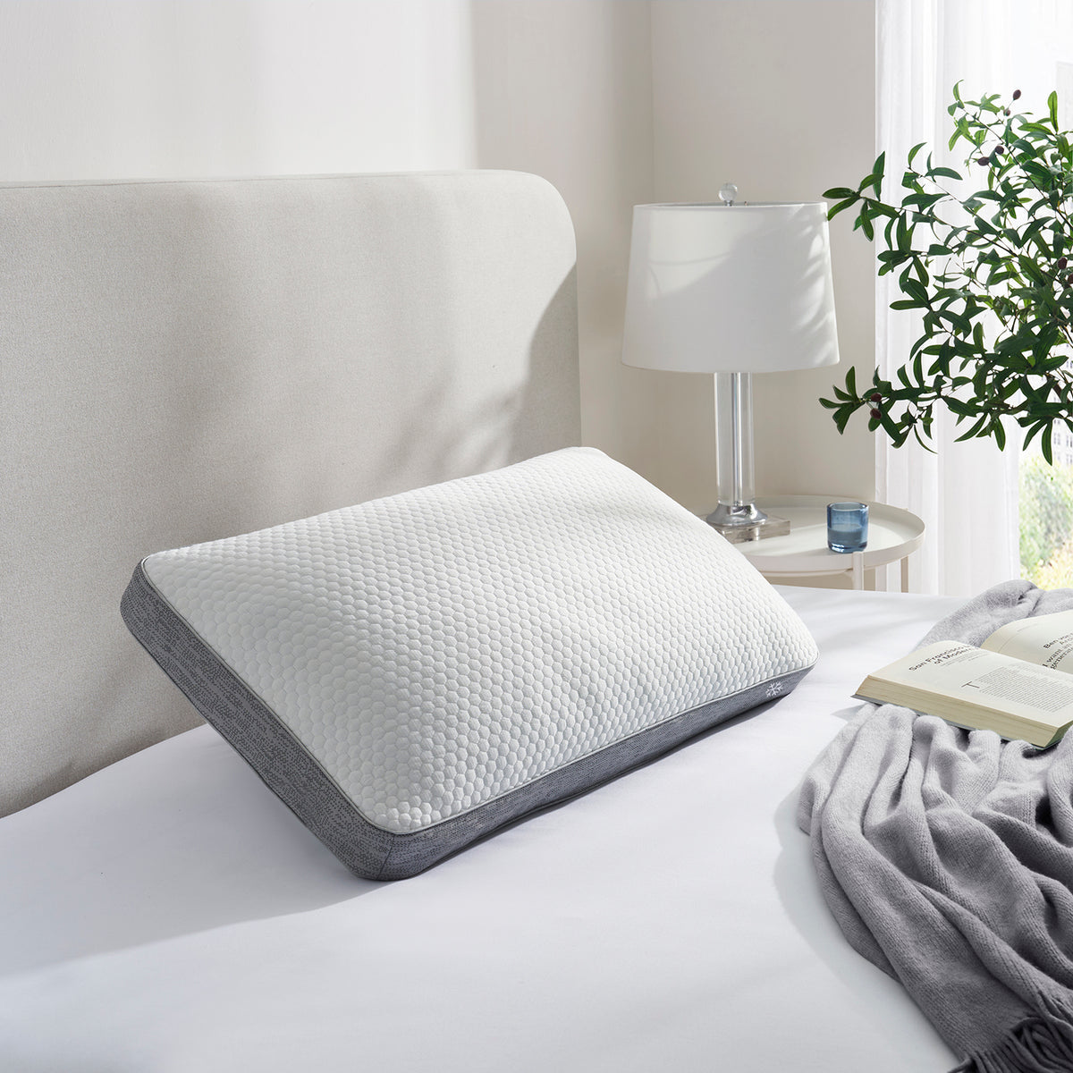 Cooling Pillow
